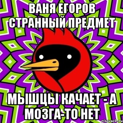 ваня егоров странный предмет мышцы качает - а мозга-то нет, Мем Омская птица