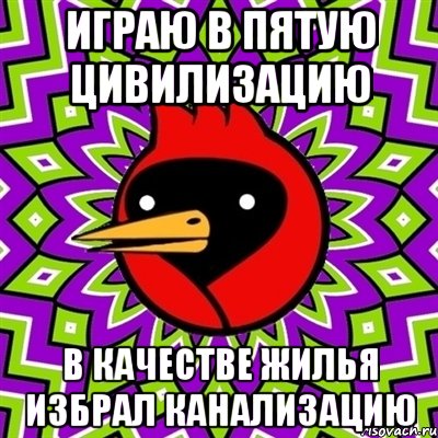 ИГРАЮ В ПЯТУЮ ЦИВИЛИЗАЦИЮ В КАЧЕСТВЕ ЖИЛЬЯ ИЗБРАЛ КАНАЛИЗАЦИЮ, Мем Омская птица