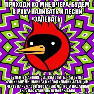 Приходи ко мне вчера, будем в руку наливать и песни запевать Будем в чайнике сушки топить, чай будет сушиный. мы маинез в холодильник затащим через пару часов достанем. Мы кога надавим ты у нас станешь белобрысым, Мем Омская птица