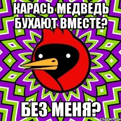 карась медведь бухают вместе? Без меня?, Мем Омская птица