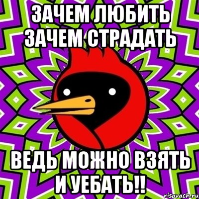 зачем любить зачем страдать ведь можно взять и уебать!!, Мем Омская птица