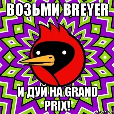 Возьми Breyer и дуй на Grand Prix!, Мем Омская птица