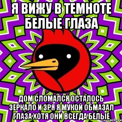 Я вижу в темноте белые глаза Дом сломался осталось зеркало и зря я мукой обмазал глаза хотя они всегда белые, Мем Омская птица