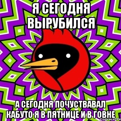 я сегодня вырубился а сегодня почуствавал кабуто я в пятнице и в говне, Мем Омская птица