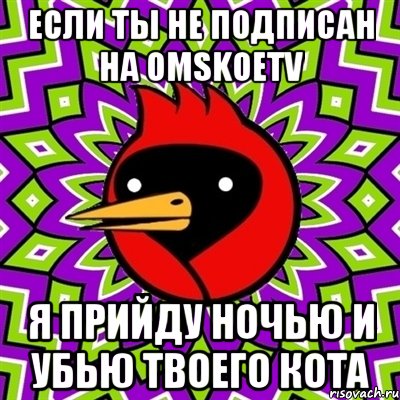 если ты не подписан на OmskoeTV я прийду ночью и убью твоего кота, Мем Омская птица