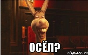  ОСЁЛ?