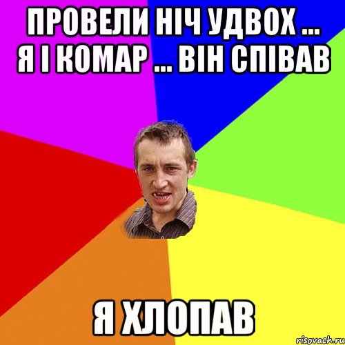 Провели ніч удвох ... Я і комар ... Він співав Я хлопав, Мем Чоткий паца