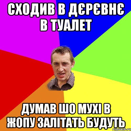 сходив в дєрєвнє в туалет думав шо мухі в жопу залітать будуть, Мем Чоткий паца