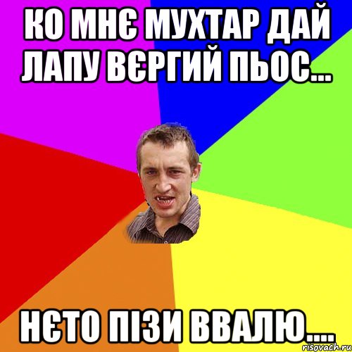 ко мнє мухтар дай лапу вєргий пьос... нєто пізи ввалю...., Мем Чоткий паца