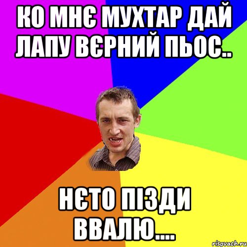 ко мнє мухтар дай лапу вєрний пьос.. нєто пізди ввалю...., Мем Чоткий паца