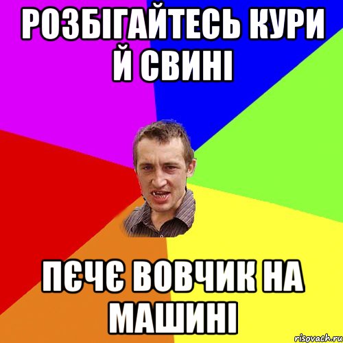 розбігайтесь кури й свині пєчє вовчик на машині, Мем Чоткий паца