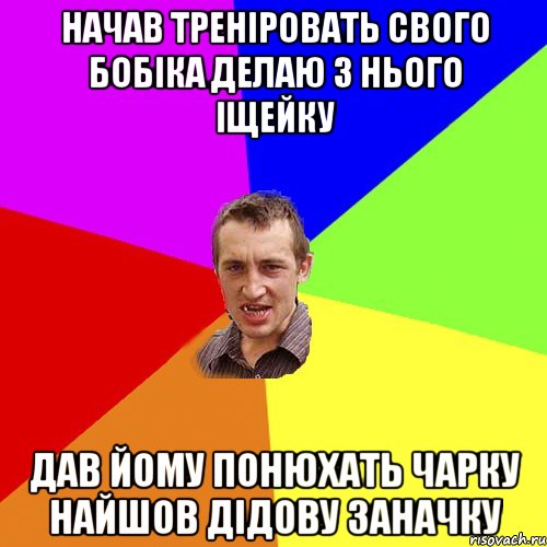 Начав треніровать свого Бобіка делаю з нього іщейку дав йому понюхать чарку найшов дідову заначку, Мем Чоткий паца