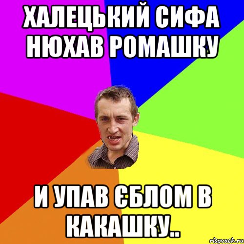 Халецький Сифа нюхав ромашку и упав єблом в какашку.., Мем Чоткий паца