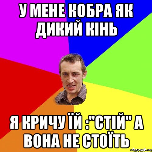 У мене кобра як дикий кінь я кричу їй :"стій" а вона не стоїть, Мем Чоткий паца