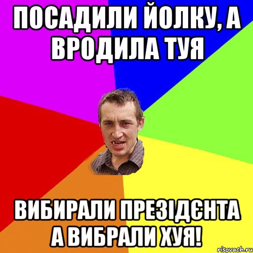 посадили йолку, а вродила туя вибирали презідєнта а вибрали хуя!, Мем Чоткий паца