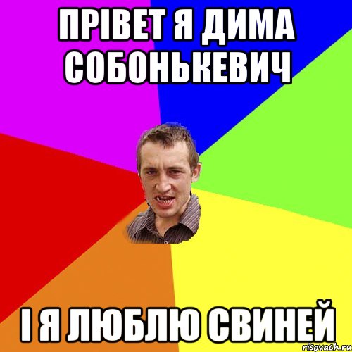 прівет я дима собонькевич і я люблю свиней, Мем Чоткий паца