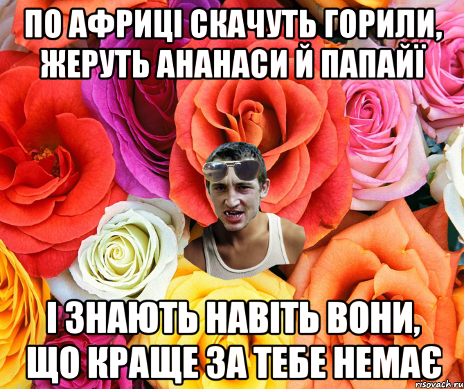 По Африці скачуть горили, жеруть ананаси й папайї І знають навіть вони, що краще за тебе немає, Мем  пацанчо