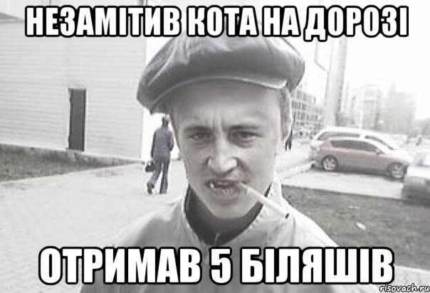 незамітив кота на дорозі отримав 5 біляшів, Мем Пацанська философия