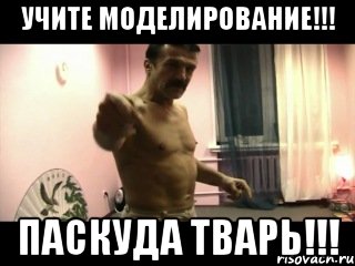 УЧИТЕ МОДЕЛИРОВАНИЕ!!! ПАСКУДА ТВАРЬ!!!, Мем Паскуда тварь