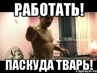 Работать! Паскуда Тварь!, Мем Паскуда тварь