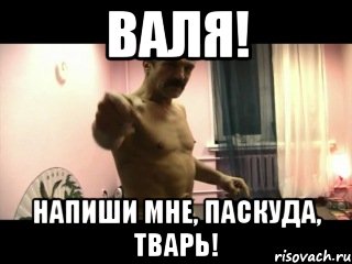 ВАЛЯ! Напиши мне, паскуда, тварь!, Мем Паскуда тварь