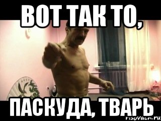 вот так то, паскуда, тварь, Мем Паскуда тварь