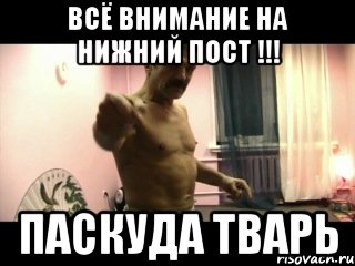 всё внимание на нижний пост !!! паскуда тварь