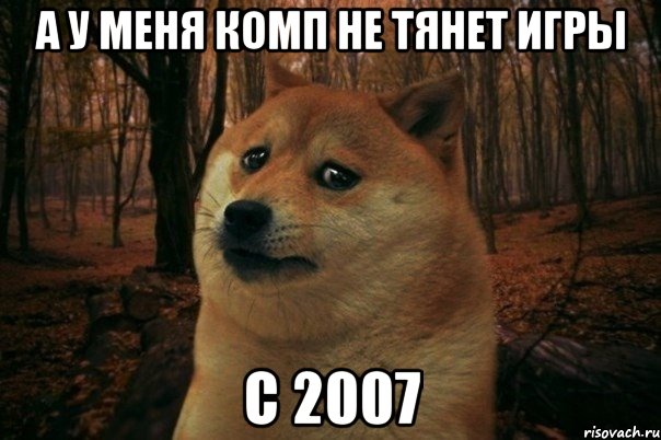 а у меня комп не тянет игры с 2007, Мем SAD DOGE