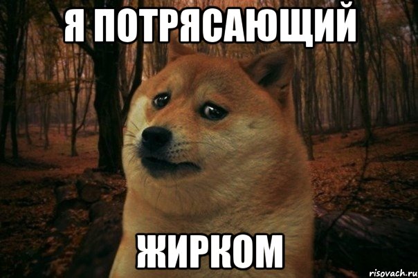 я потрясающий жирком, Мем SAD DOGE