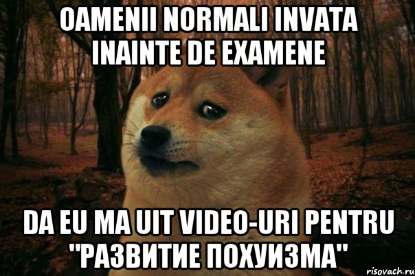 Oamenii normali invata inainte de examene da eu ma uit video-uri pentru "развитие похуизма", Мем SAD DOGE