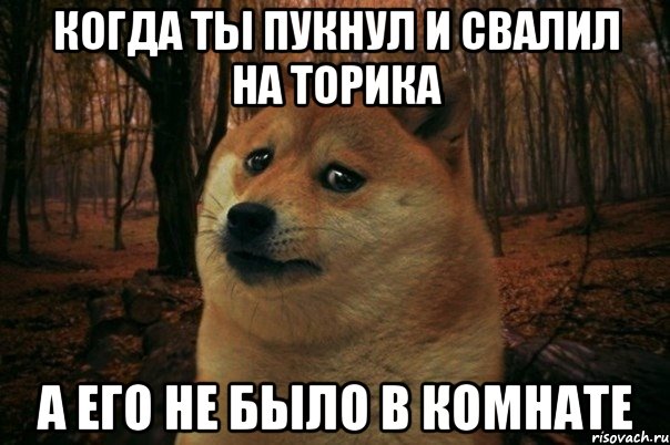 КОГДА ТЫ ПУКНУЛ И СВАЛИЛ НА ТОРИКА А ЕГО НЕ БЫЛО В КОМНАТЕ, Мем SAD DOGE