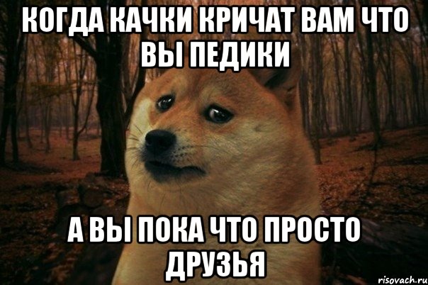 когда качки кричат вам что вы педики а вы пока что просто друзья, Мем SAD DOGE