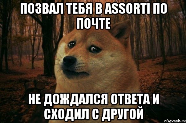 Позвал тебя в Assorti по почте Не дождался ответа и сходил с другой, Мем SAD DOGE