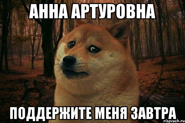 Анна Артуровна Поддержите меня завтра, Мем SAD DOGE