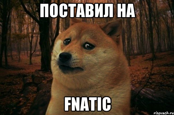 поставил на fnatic, Мем SAD DOGE