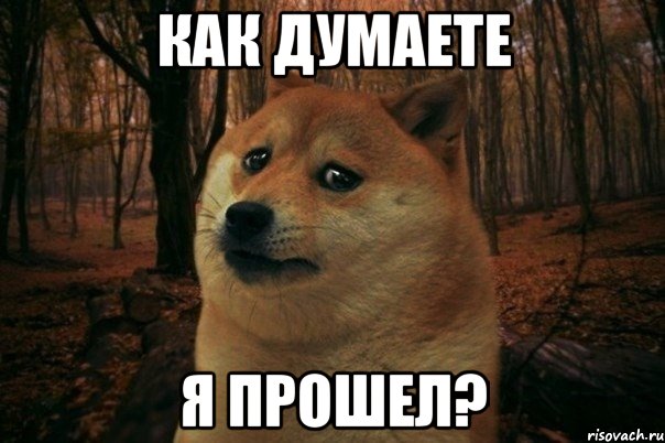 Как думаете Я прошел?, Мем SAD DOGE