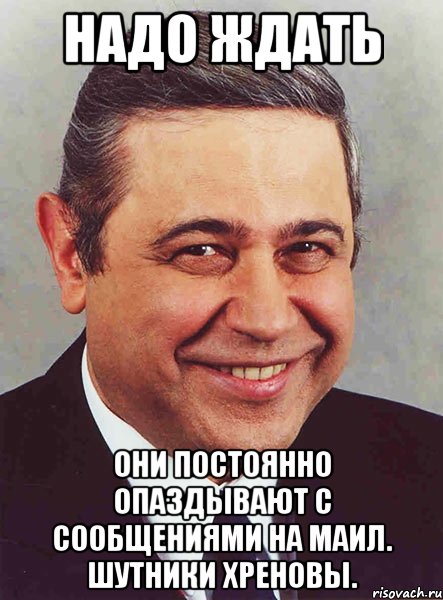 Надо ждать Они постоянно опаздывают с сообщениями на маил. Шутники хреновы., Мем петросян