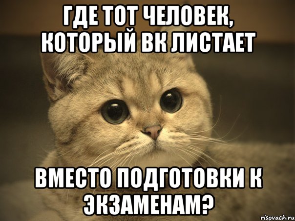 Где тот человек, который ВК листает Вместо подготовки к экзаменам?, Мем Пидрила ебаная котик