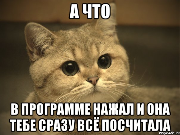 А ЧТО В ПРОГРАММЕ НАЖАЛ И ОНА ТЕБЕ СРАЗУ ВСЁ ПОСЧИТАЛА, Мем Пидрила ебаная котик