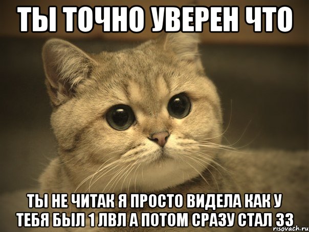 ты точно уверен что ты не читак я просто видела как у тебя был 1 лвл а потом сразу стал 33, Мем Пидрила ебаная котик