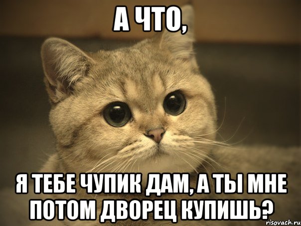 А что, я тебе чупик дам, а ты мне потом дворец купишь?, Мем Пидрила ебаная котик