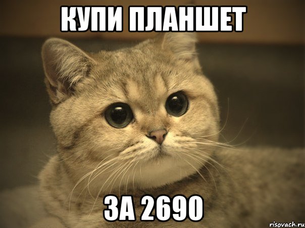 Купи планшет За 2690, Мем Пидрила ебаная котик