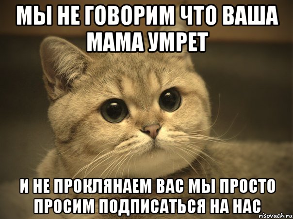 Мы не говорим что ваша мама умрет И не проклянаем вас мы просто просим подписаться на нас, Мем Пидрила ебаная котик