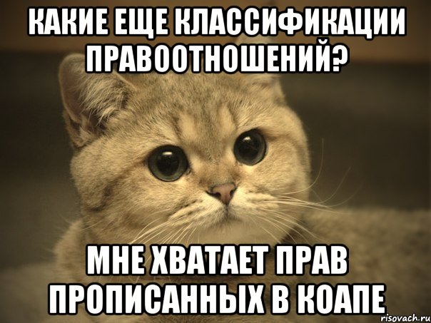 Какие еще классификации правоотношений? Мне хватает прав прописанных в КОАПе, Мем Пидрила ебаная котик