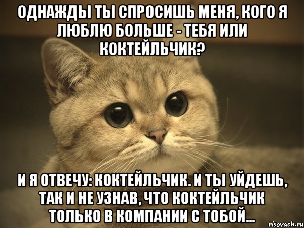 Однажды ты спросишь меня, кого я люблю больше - тебя или коктейльчик? И я отвечу: коктейльчик. И ты уйдешь, так и не узнав, что коктейльчик только в компании с тобой..., Мем Пидрила ебаная котик