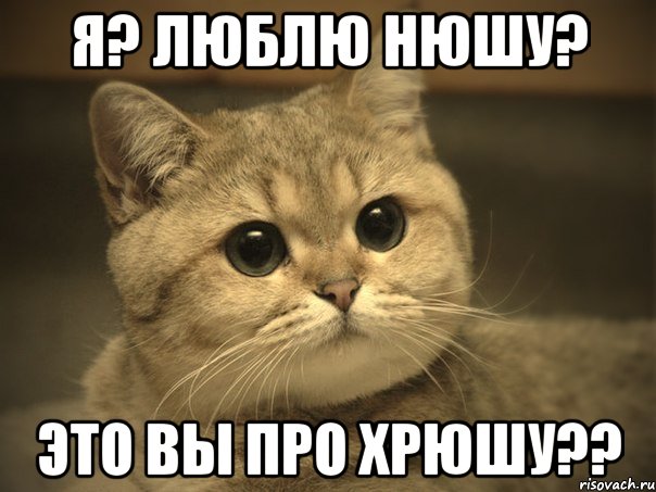 Я? Люблю Нюшу? Это вы про хрюшу??, Мем Пидрила ебаная котик