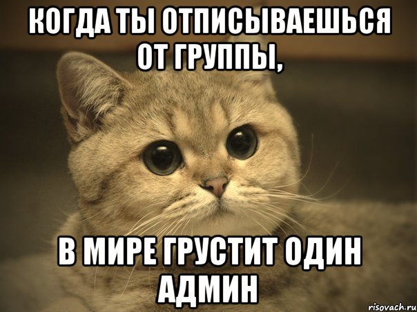 Когда ты отписываешься от группы, в мире грустит один админ, Мем Пидрила ебаная котик