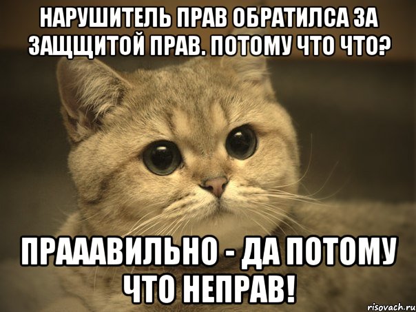 Нарушитель прав обратилса за защщитой прав. Потому что что? Прааавильно - да потому что неправ!, Мем Пидрила ебаная котик