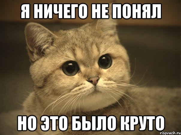 я ничего не понял но это было круто, Мем Пидрила ебаная котик