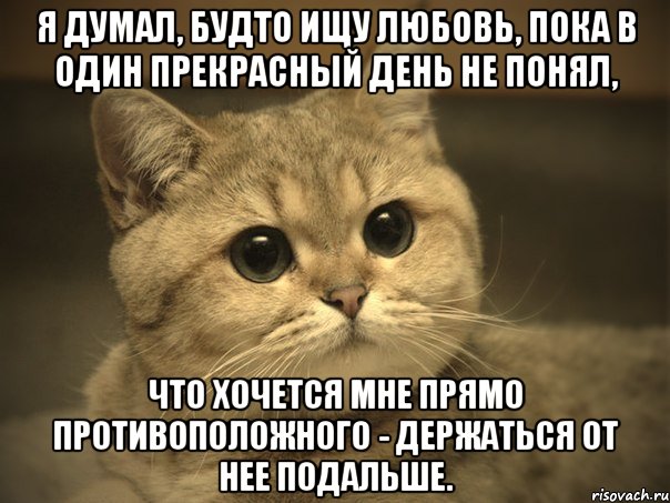 Я думал, будто ищу любовь, пока в один прекрасный день не понял, что хочется мне прямо противоположного - держаться от нее подальше., Мем Пидрила ебаная котик